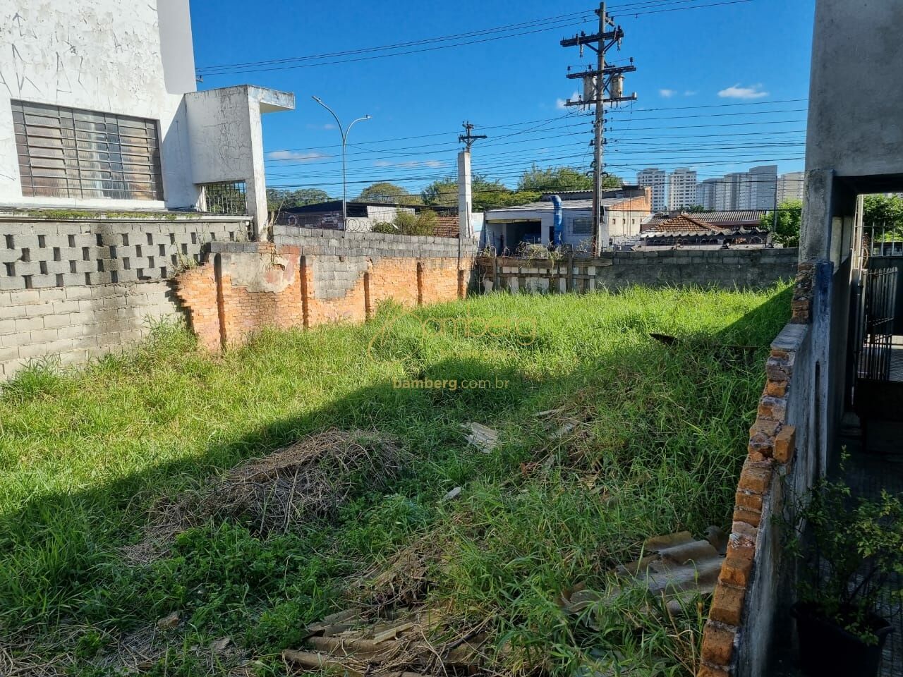 Campo Grande / São Paulo