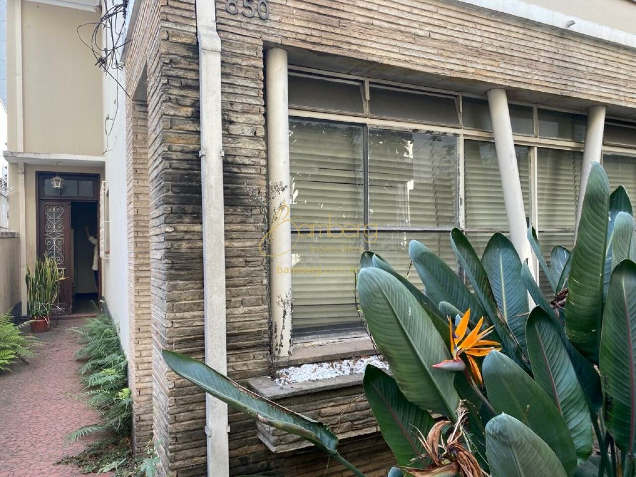 Vila Mariana / São Paulo