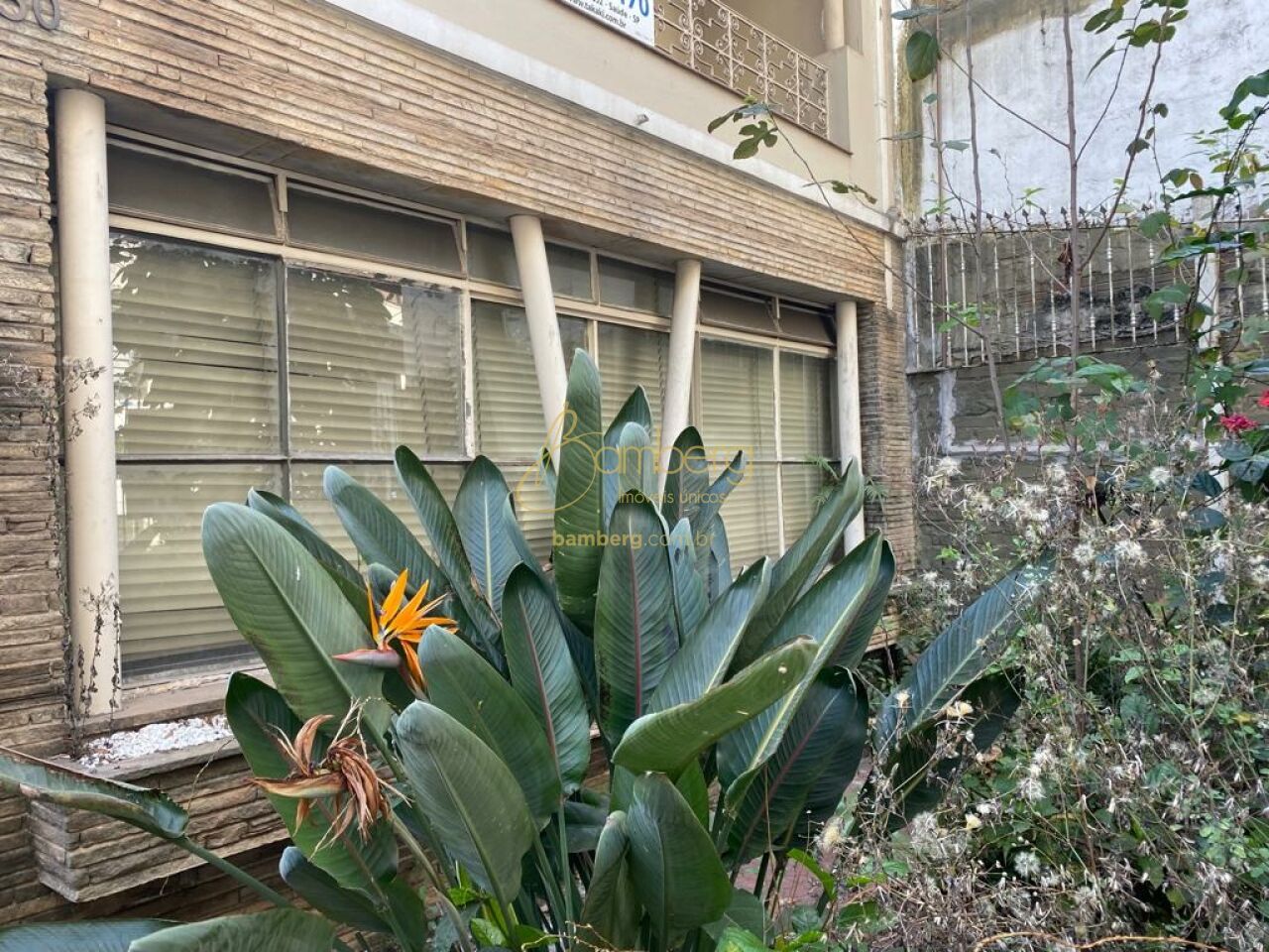 Comercial no bairro Vila Mariana - São Paulo