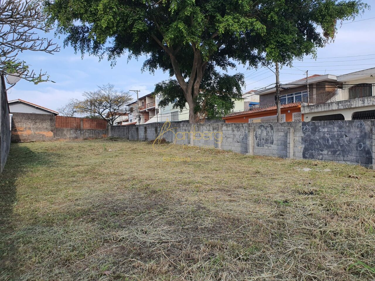 Interlagos / São Paulo