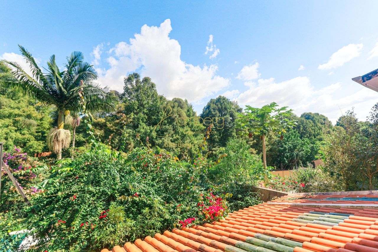 Casa no bairro Chácara Monte Alegre - São Paulo