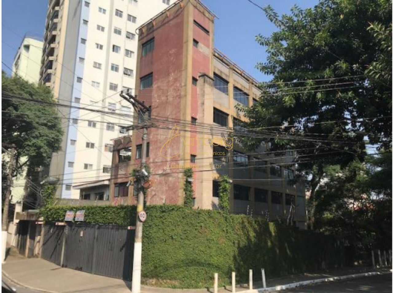 Vila Mariana / São Paulo