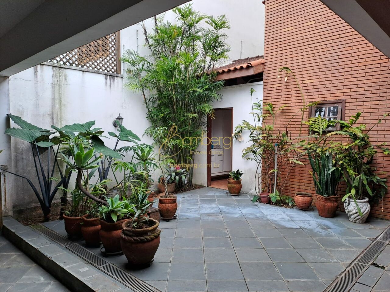 Chácara Monte Alegre / São Paulo