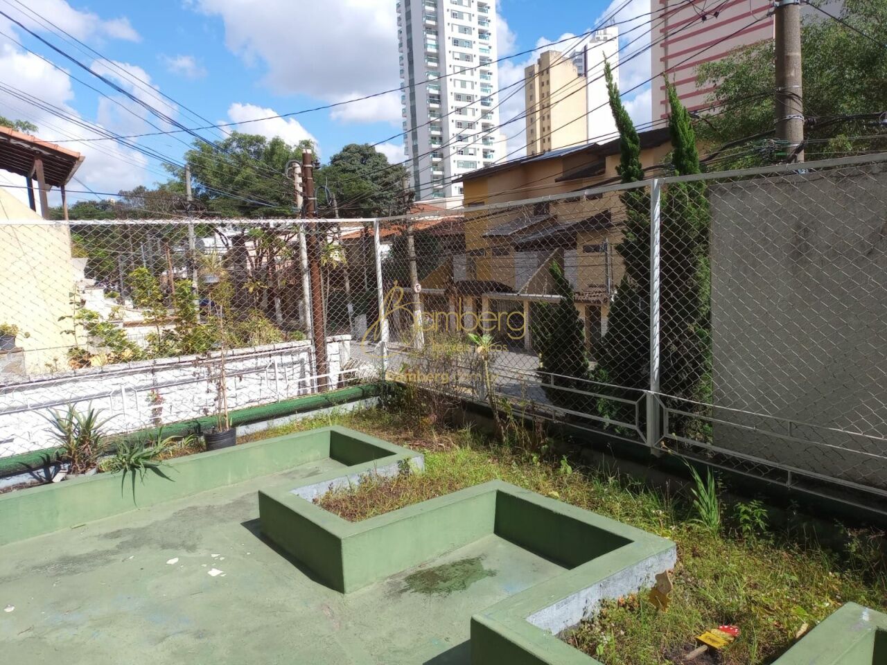 Comercial no bairro Cambuci - São Paulo