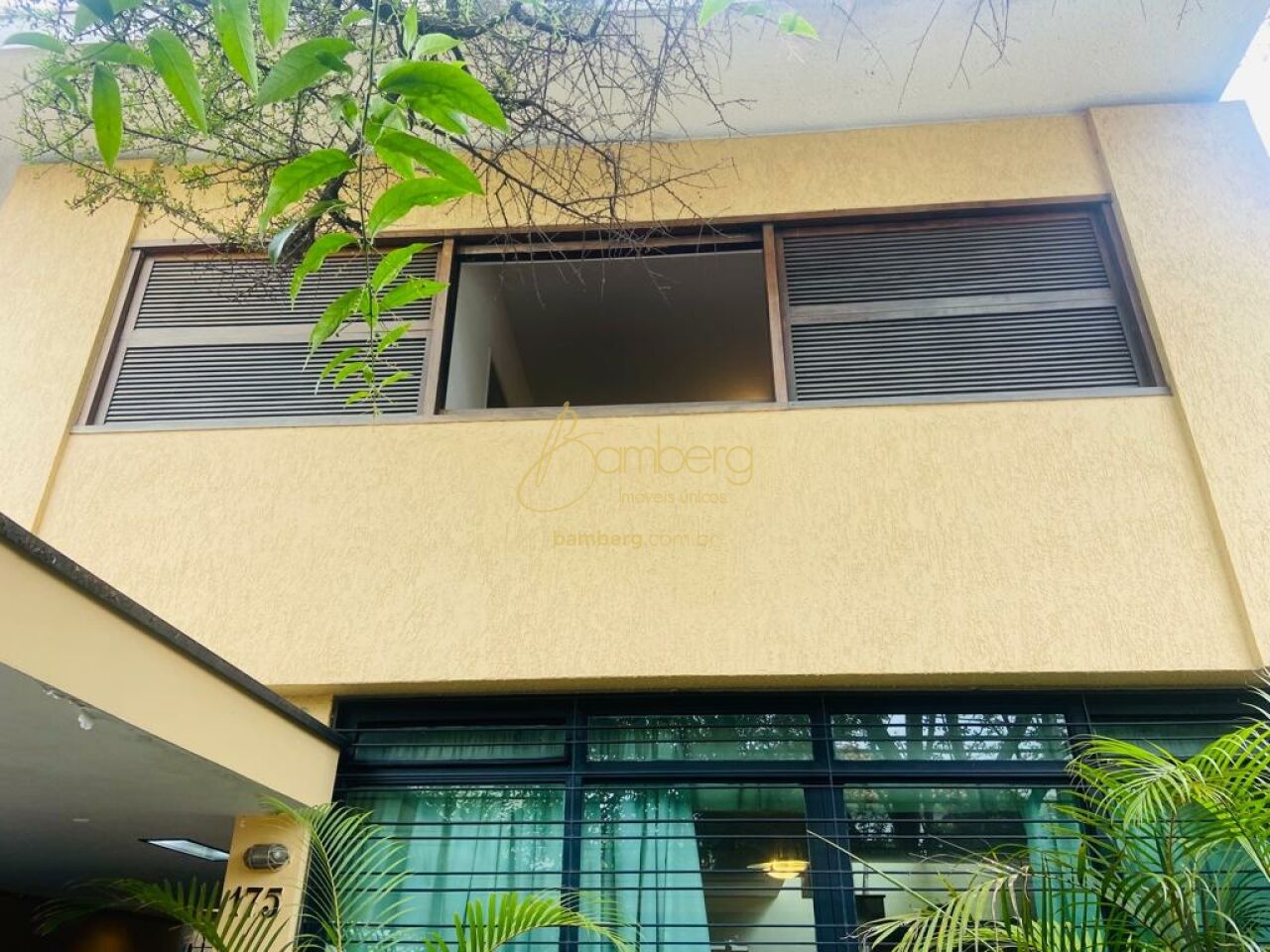 Moema / São Paulo