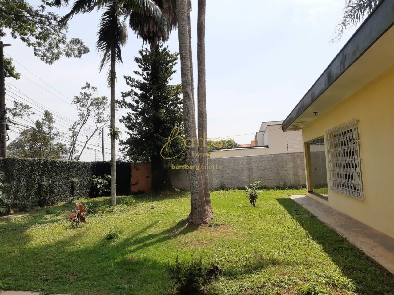 Interlagos / São Paulo