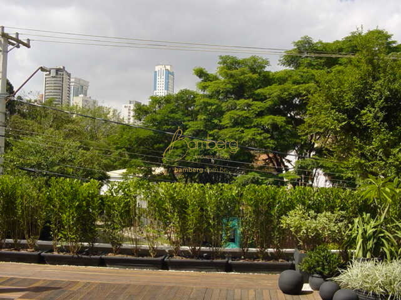 Pacaembu / São Paulo