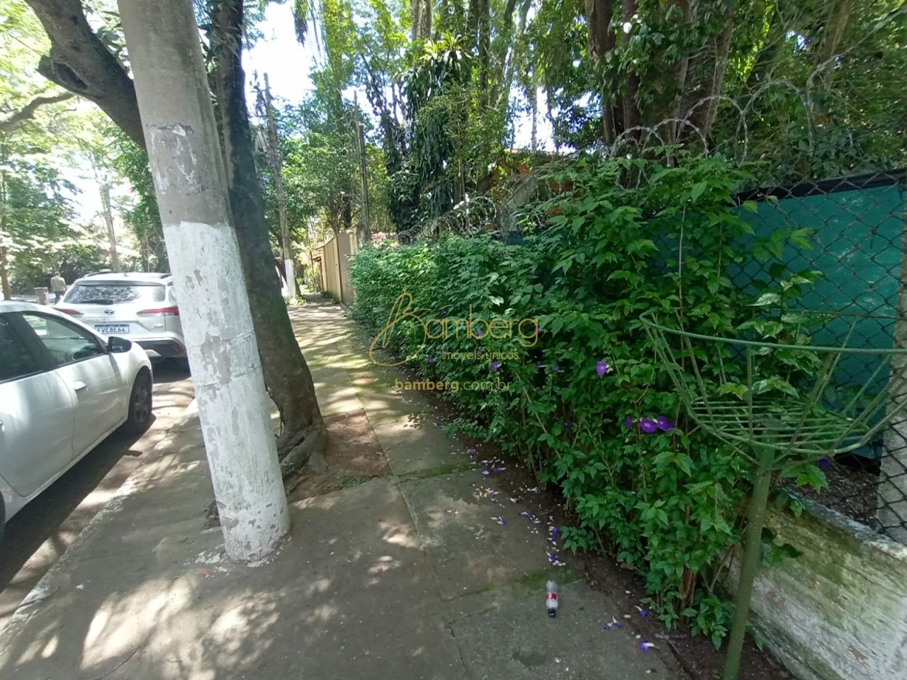 Interlagos / São Paulo