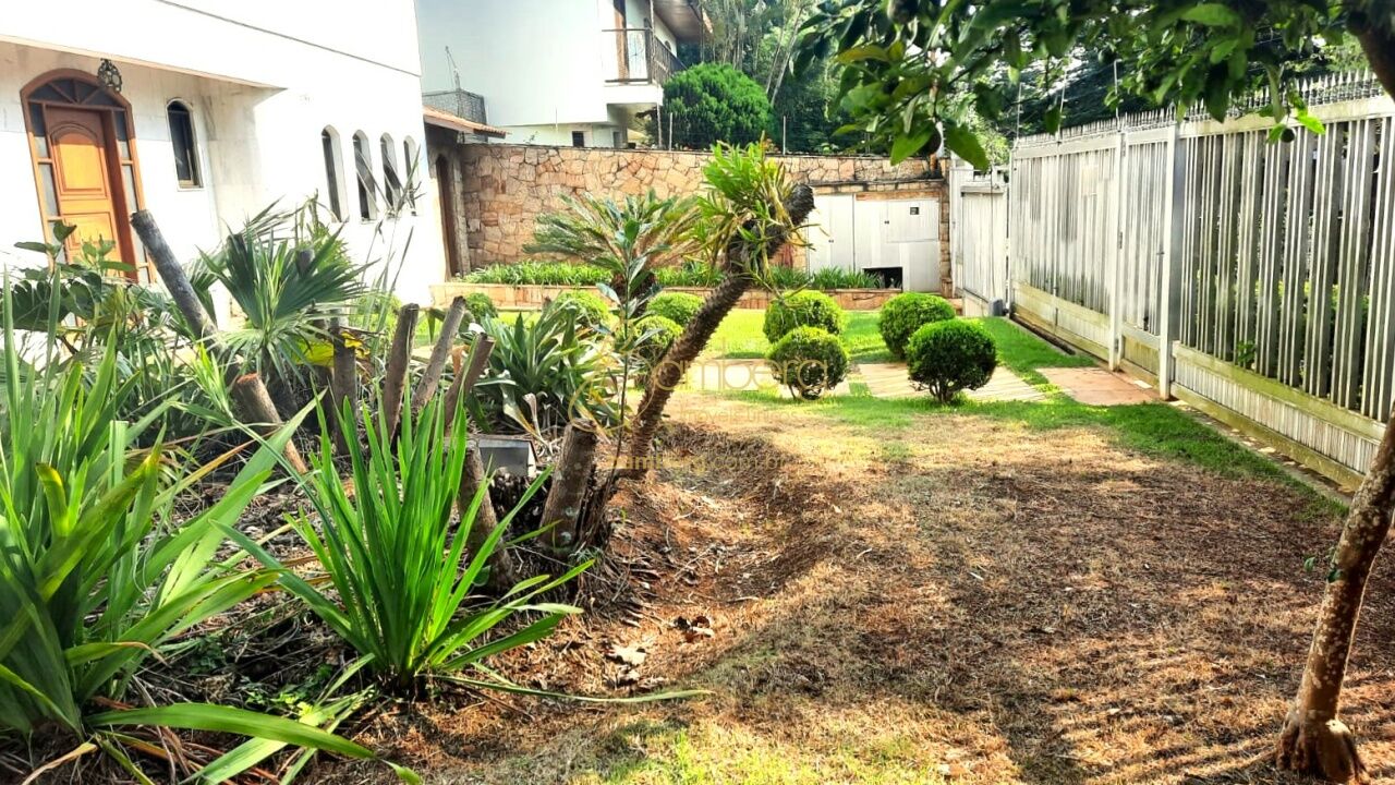 Interlagos / São Paulo