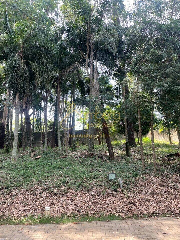 Terreno no bairro Alto da Boa Vista - São Paulo