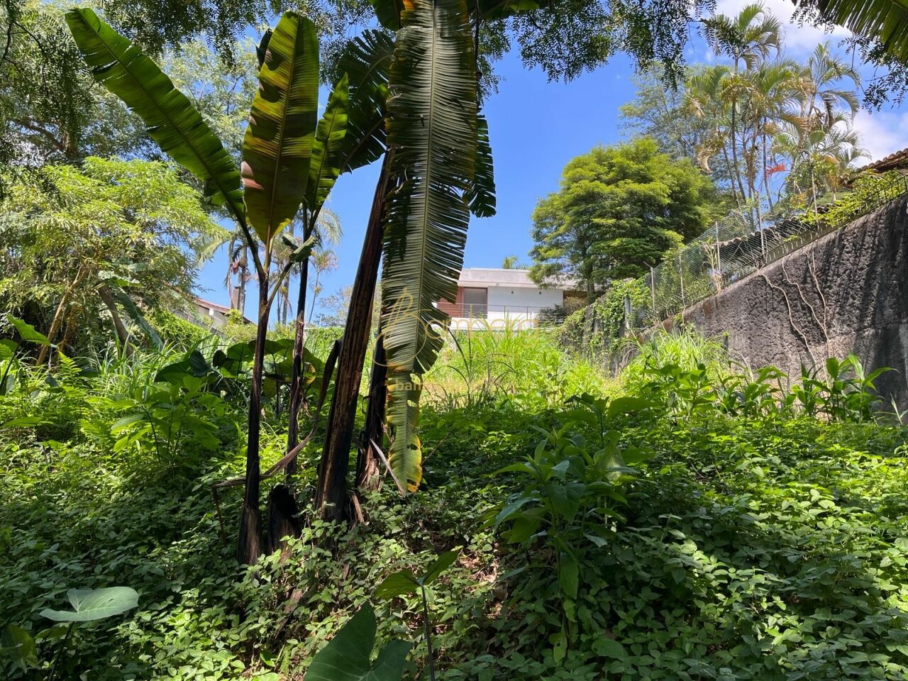 Morumbi / São Paulo