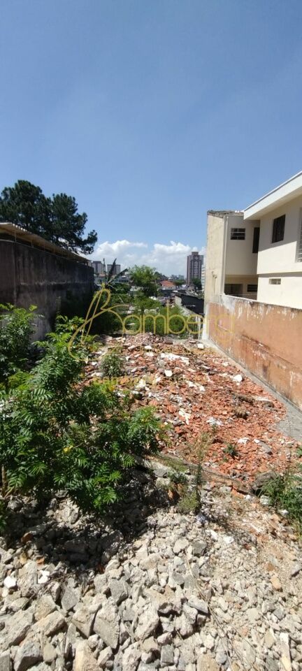 Vila Mascote / São Paulo