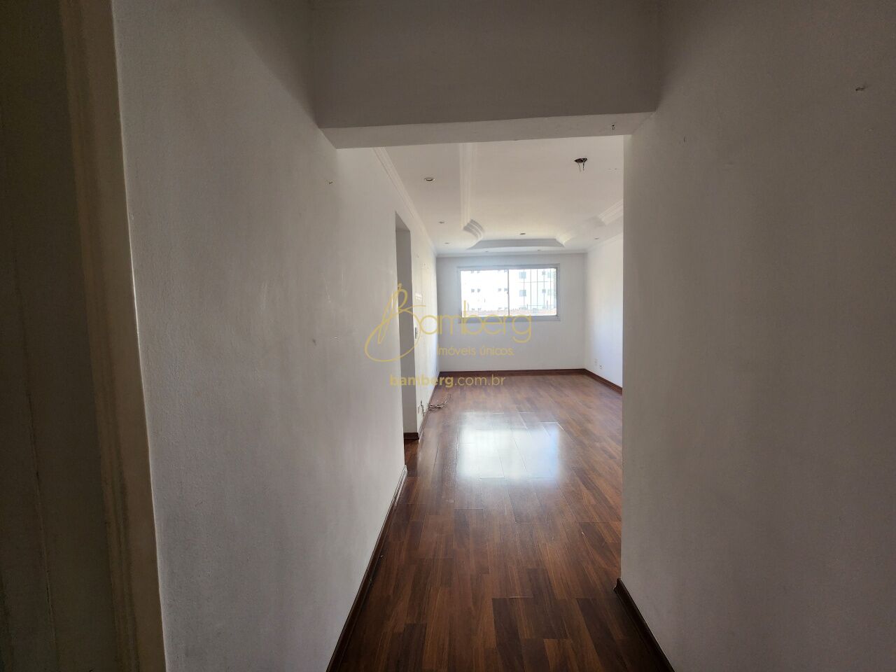 Moema / São Paulo