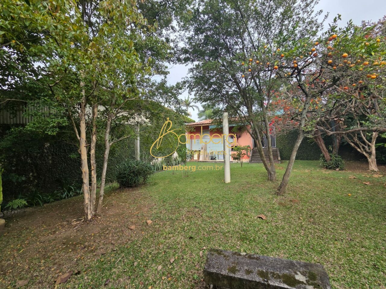 Terreno no bairro Jardim Petrópolis - São Paulo