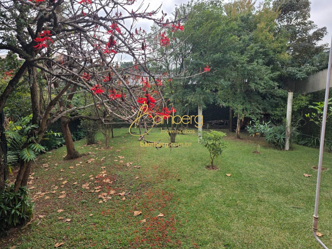 Jardim Petrópolis / São Paulo