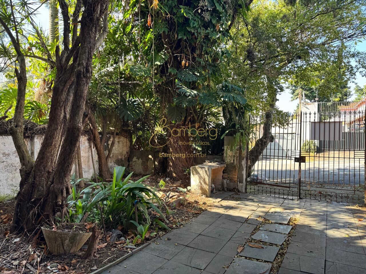 Terreno no bairro Brooklin Paulista - São Paulo