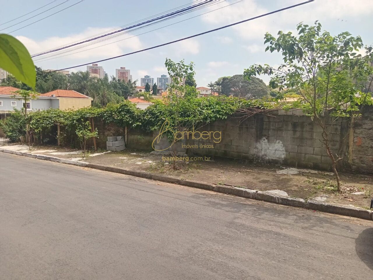 Morumbi / São Paulo