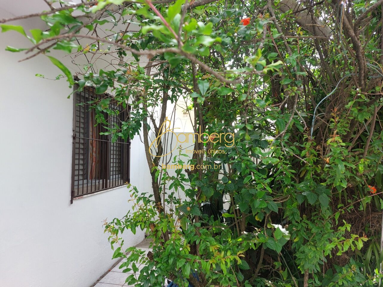 Casa no bairro Santo Amaro - São Paulo