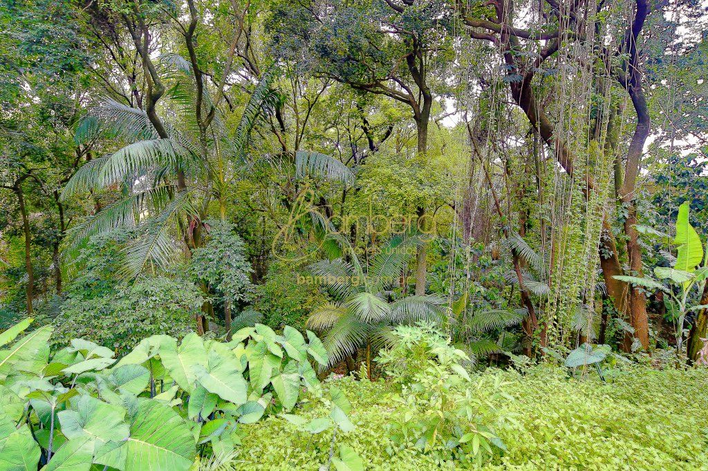 Chácara Flora / São Paulo