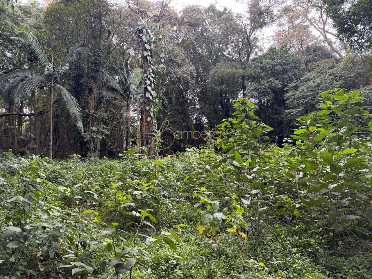 Chácara Flora / São Paulo