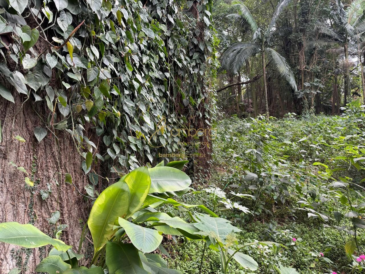 Chácara Flora / São Paulo