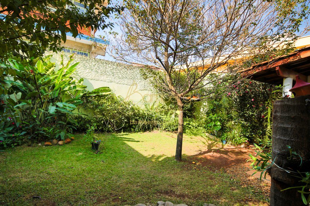 Vila Mascote / São Paulo