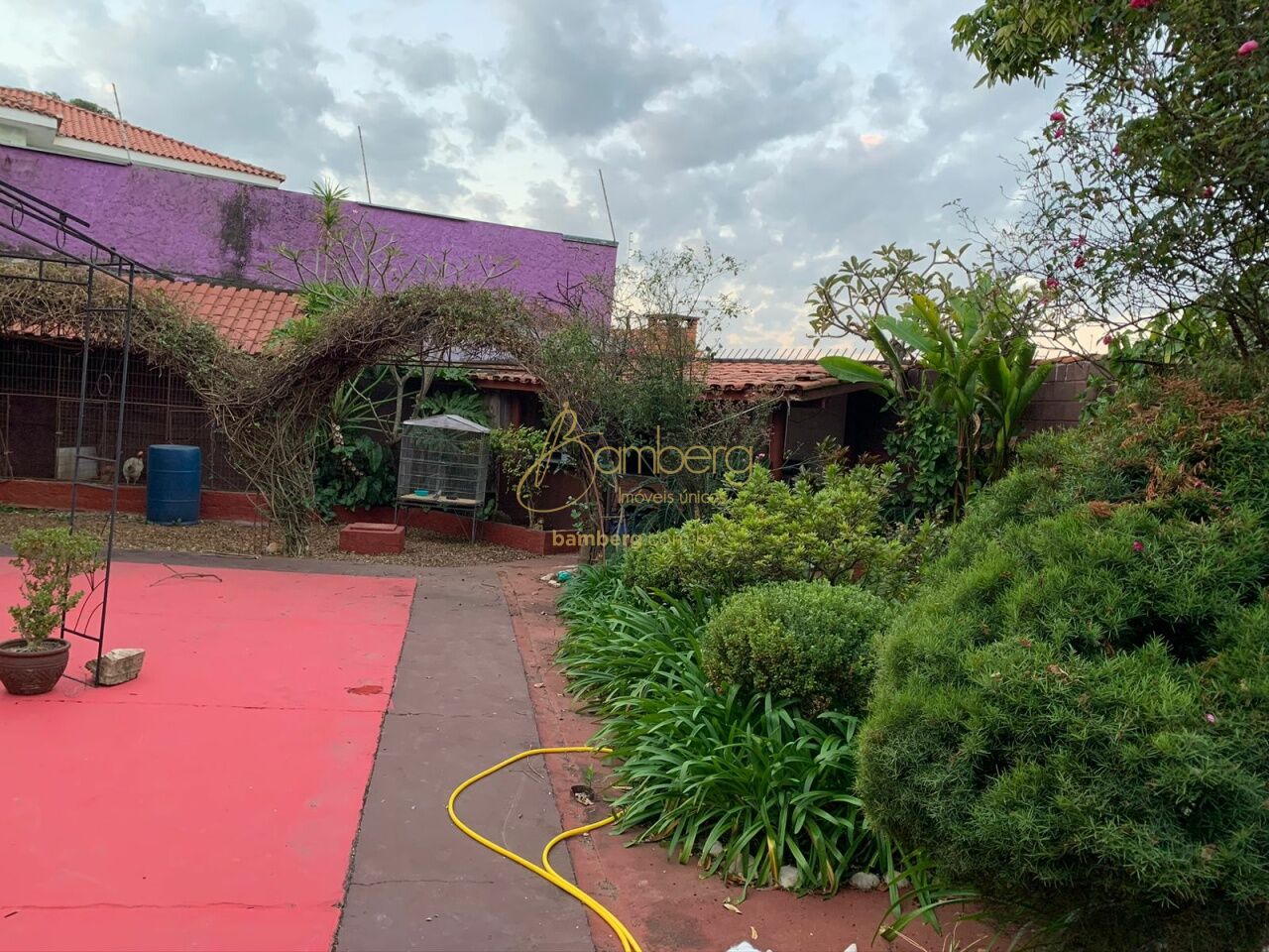 Casa no bairro Chácara Monte Alegre - São Paulo