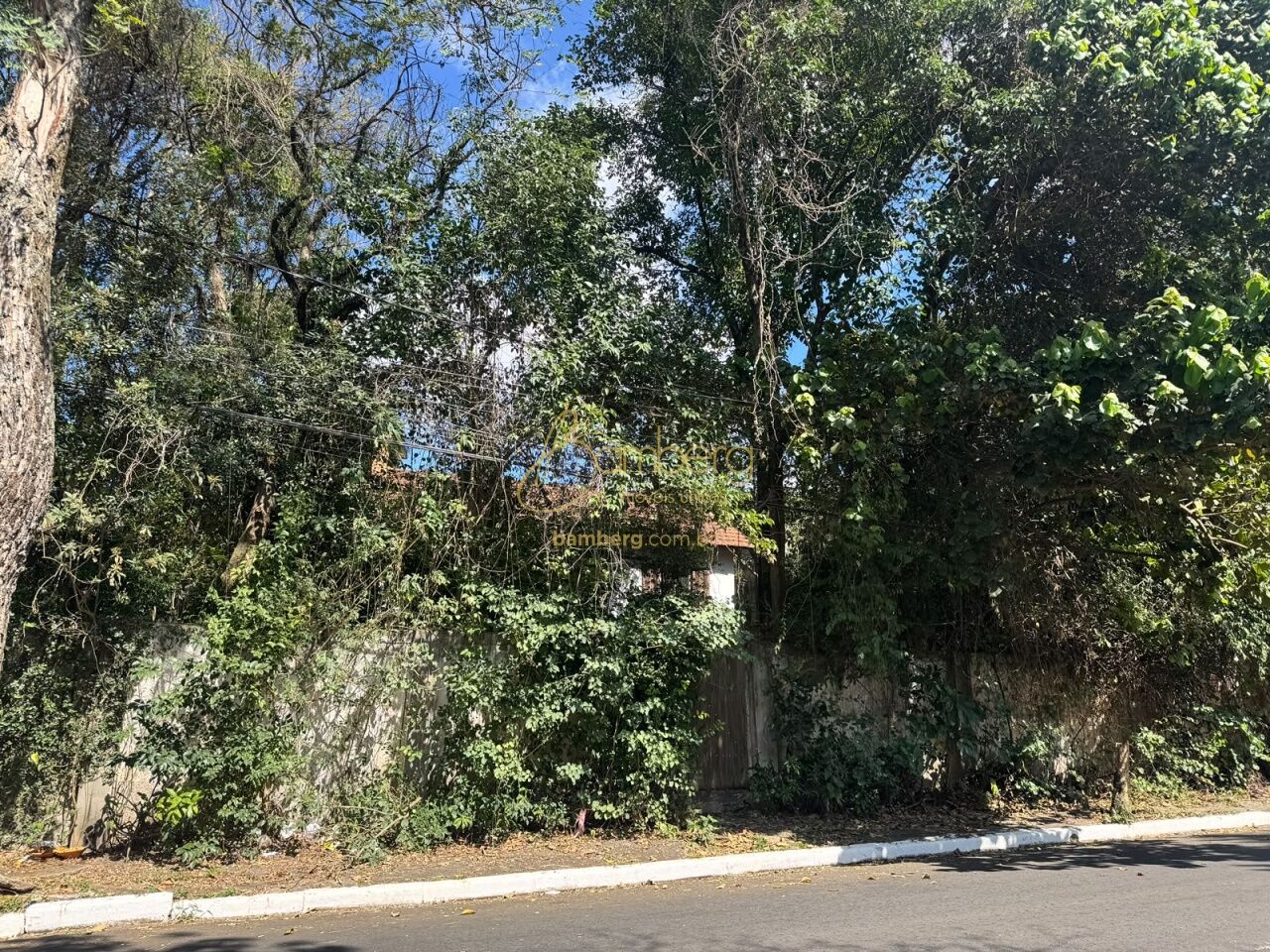 Campo Belo / São Paulo