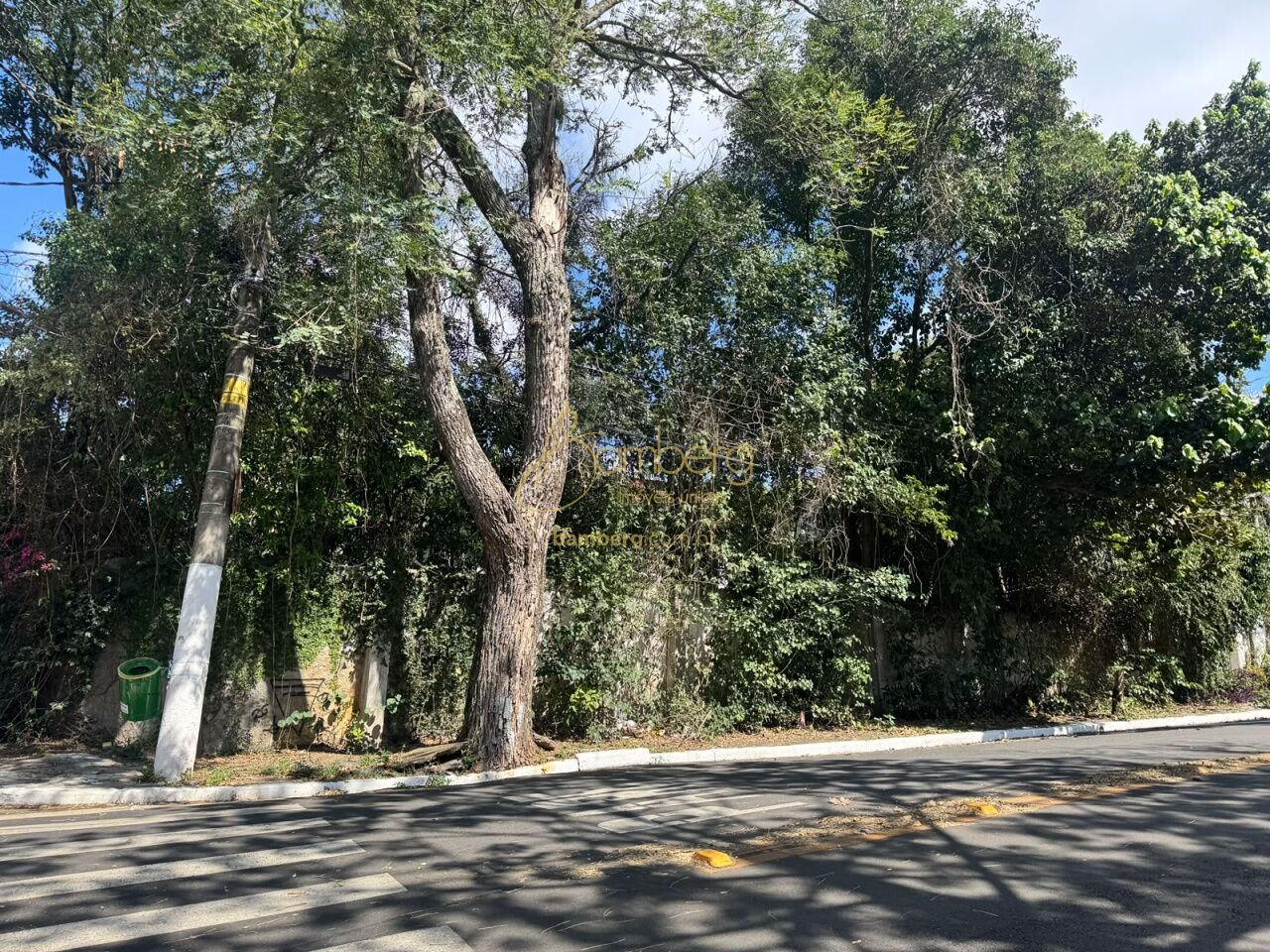 Terreno no bairro Campo Belo - São Paulo