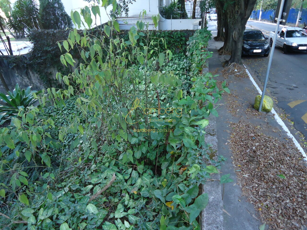 Vila Andrade / São Paulo
