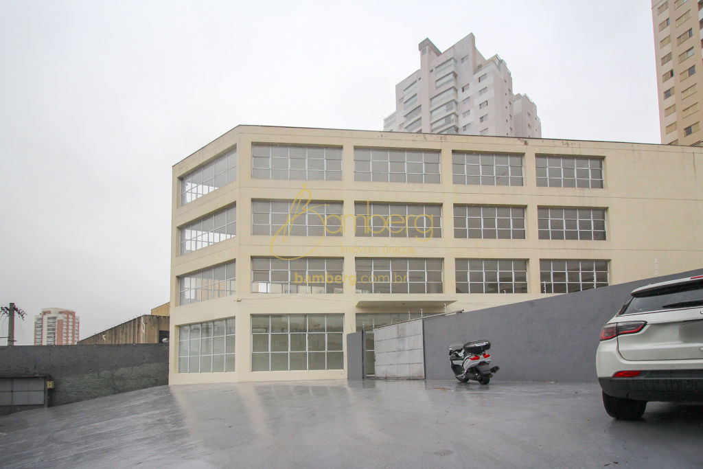 Butantã / São Paulo