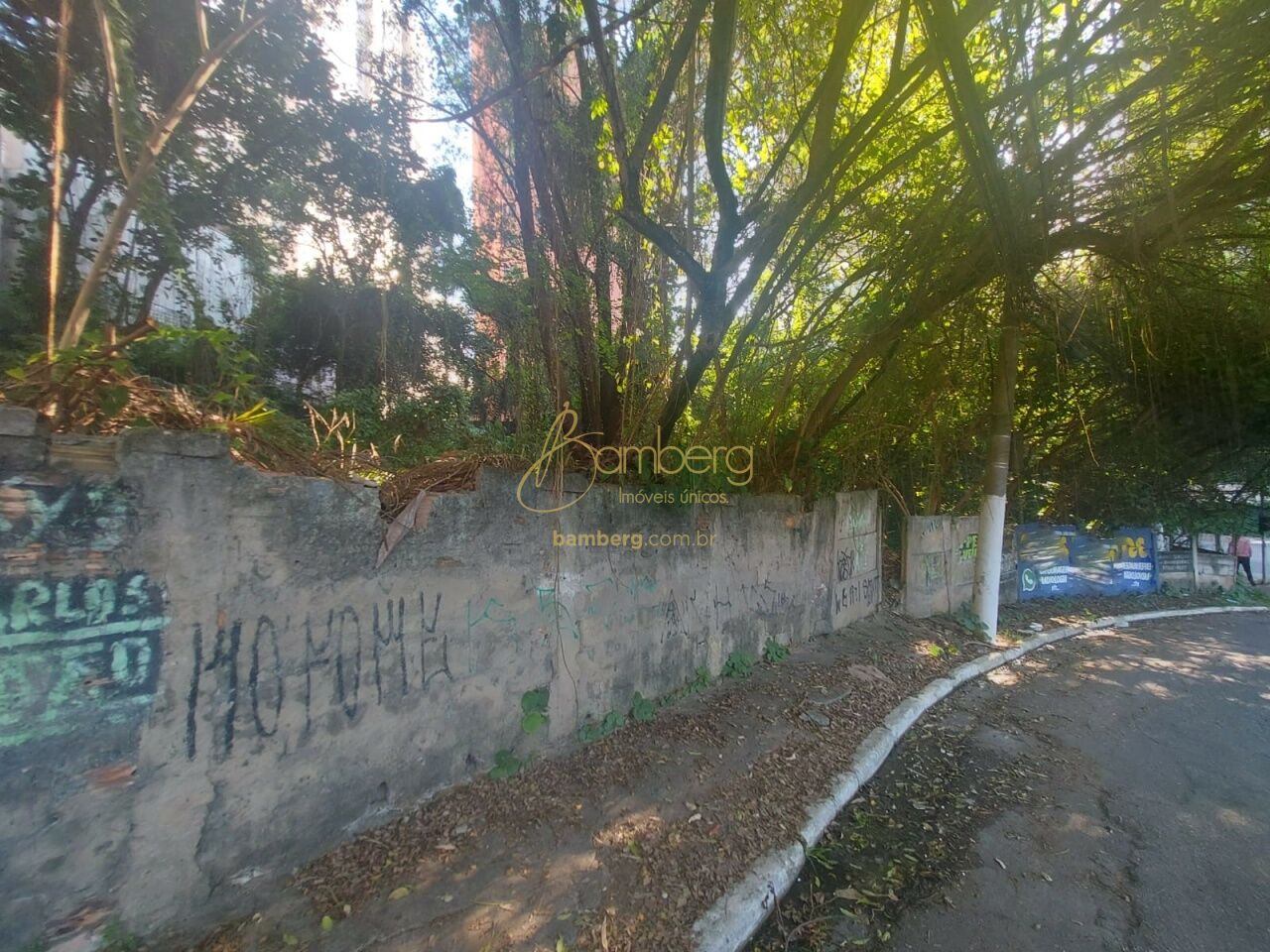 Vila Andrade / São Paulo