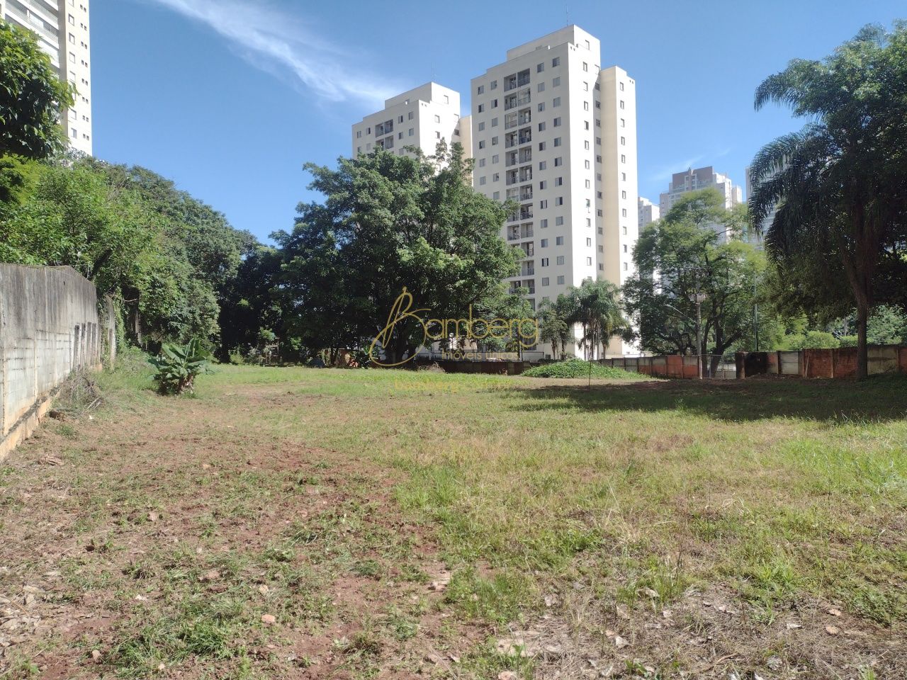 Terreno no bairro Vila Suzana - São Paulo