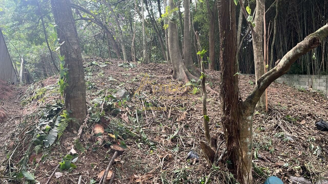 Fazenda Morumbi / São Paulo