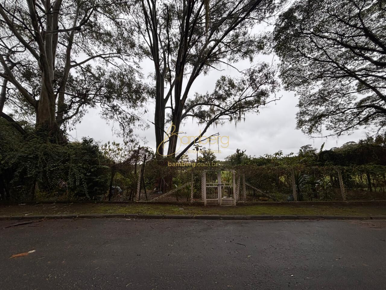 Terreno no bairro Parque do Castelo - São Paulo