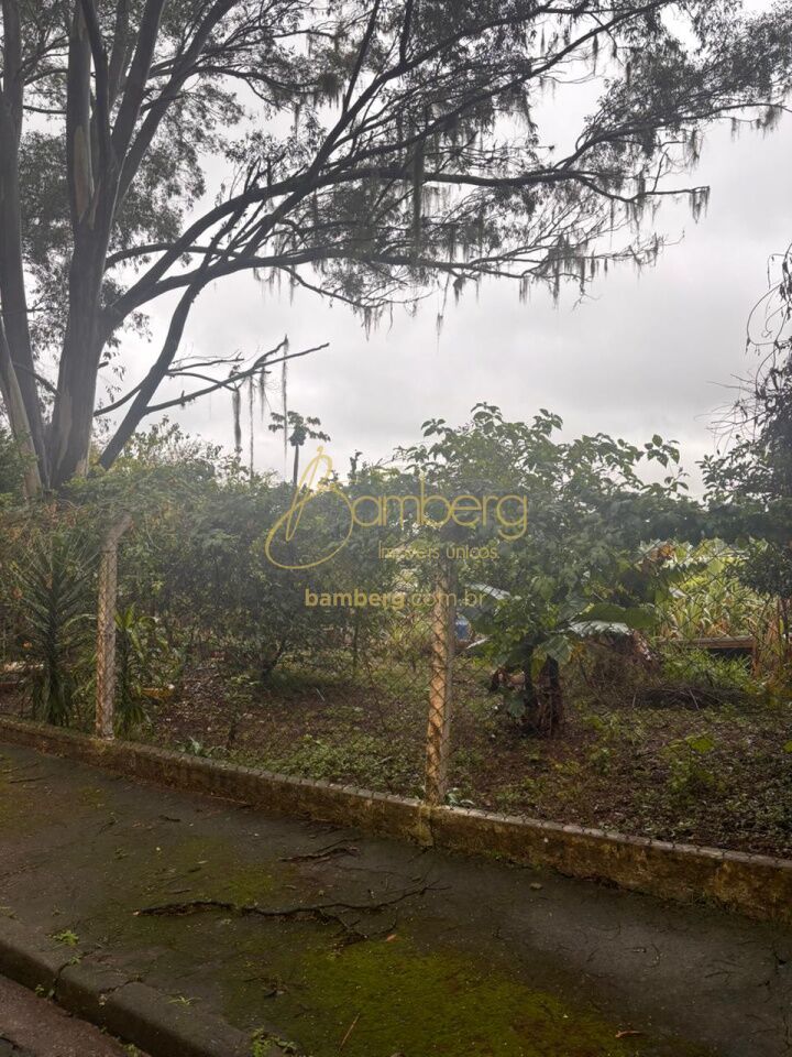 Parque do Castelo / São Paulo