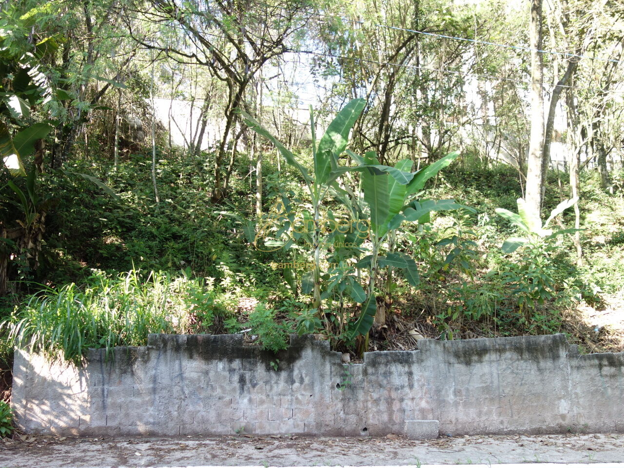 Vila Suzana / São Paulo