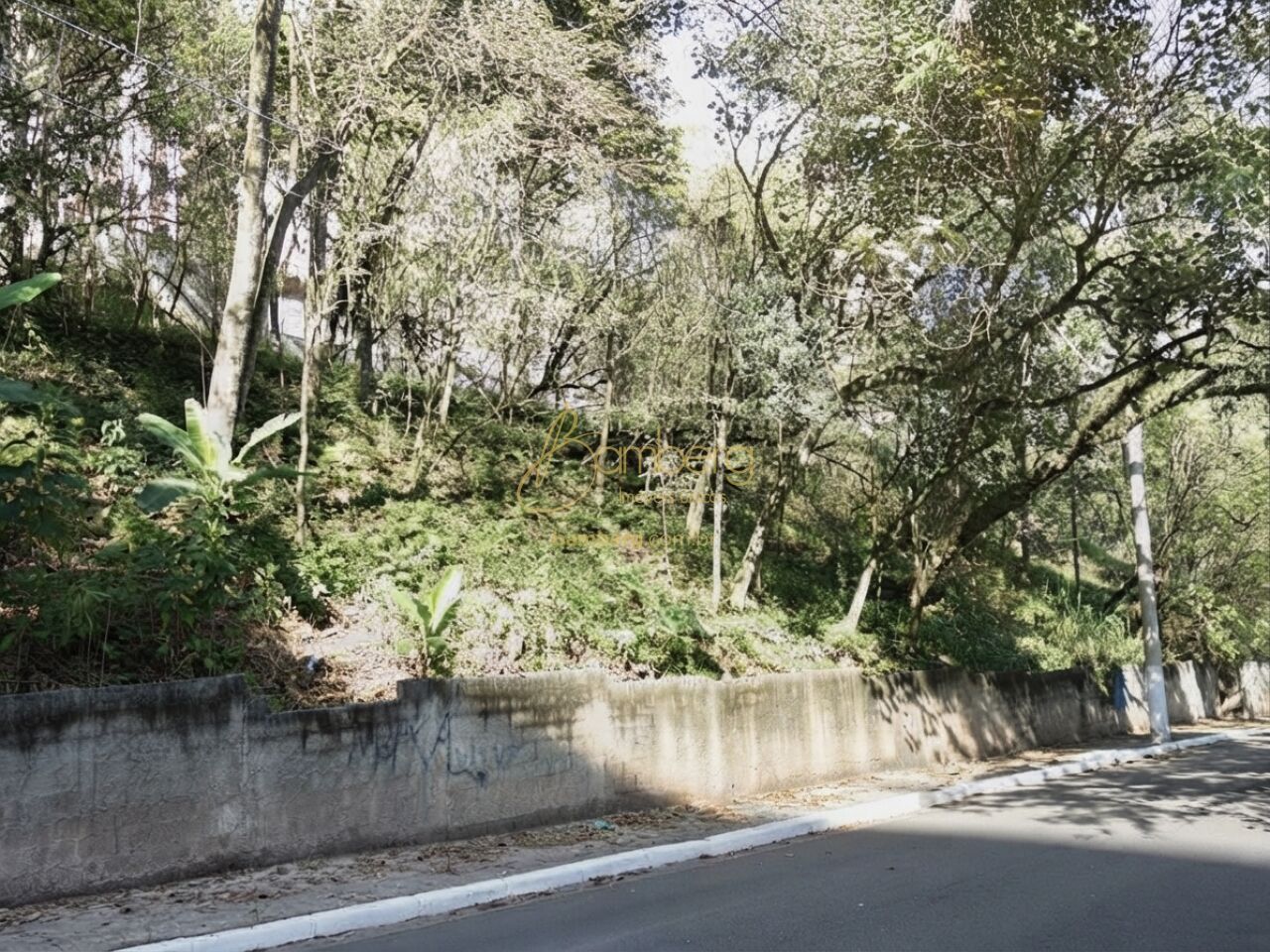 Vila Suzana / São Paulo
