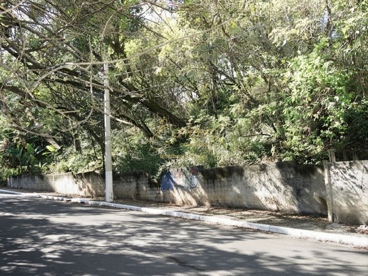 Terreno no bairro Vila Suzana - São Paulo