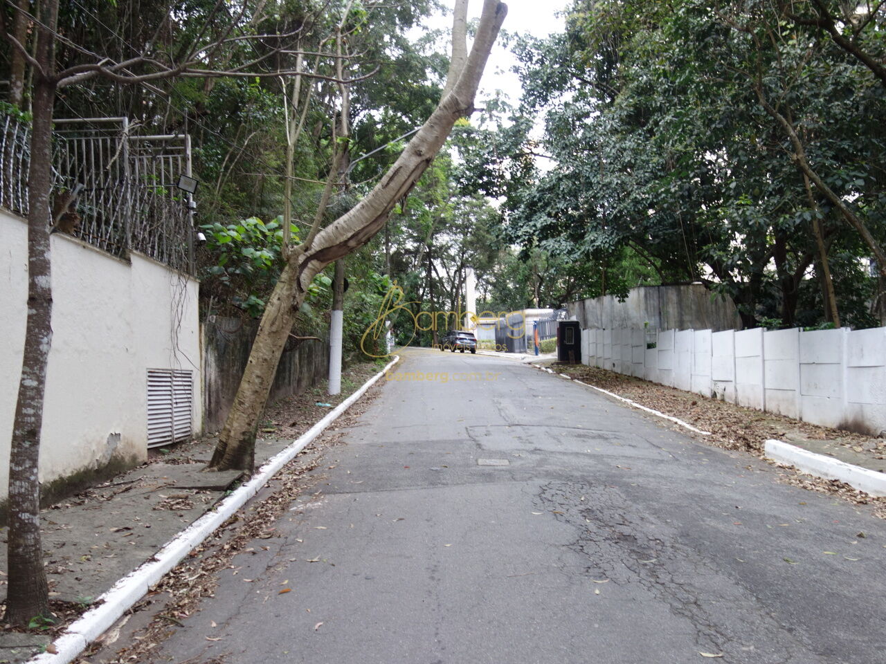Jardim Ampliação / São Paulo