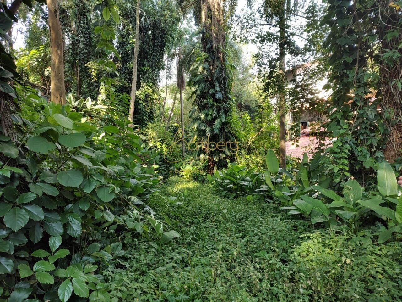 Terreno no bairro Jardim Vitória Régia - São Paulo