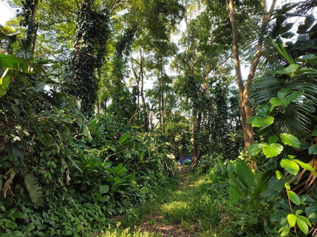 Jardim Vitória Régia / São Paulo