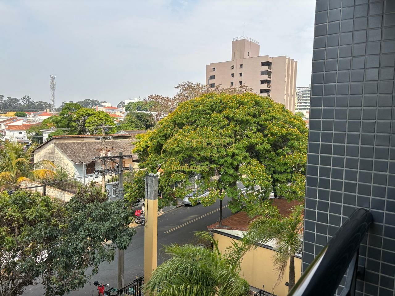Apartamento no bairro Vila Progredior - São Paulo