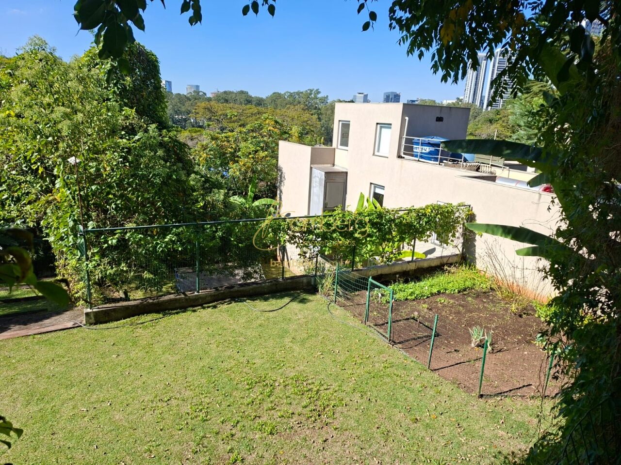 Fazenda Morumbi / São Paulo