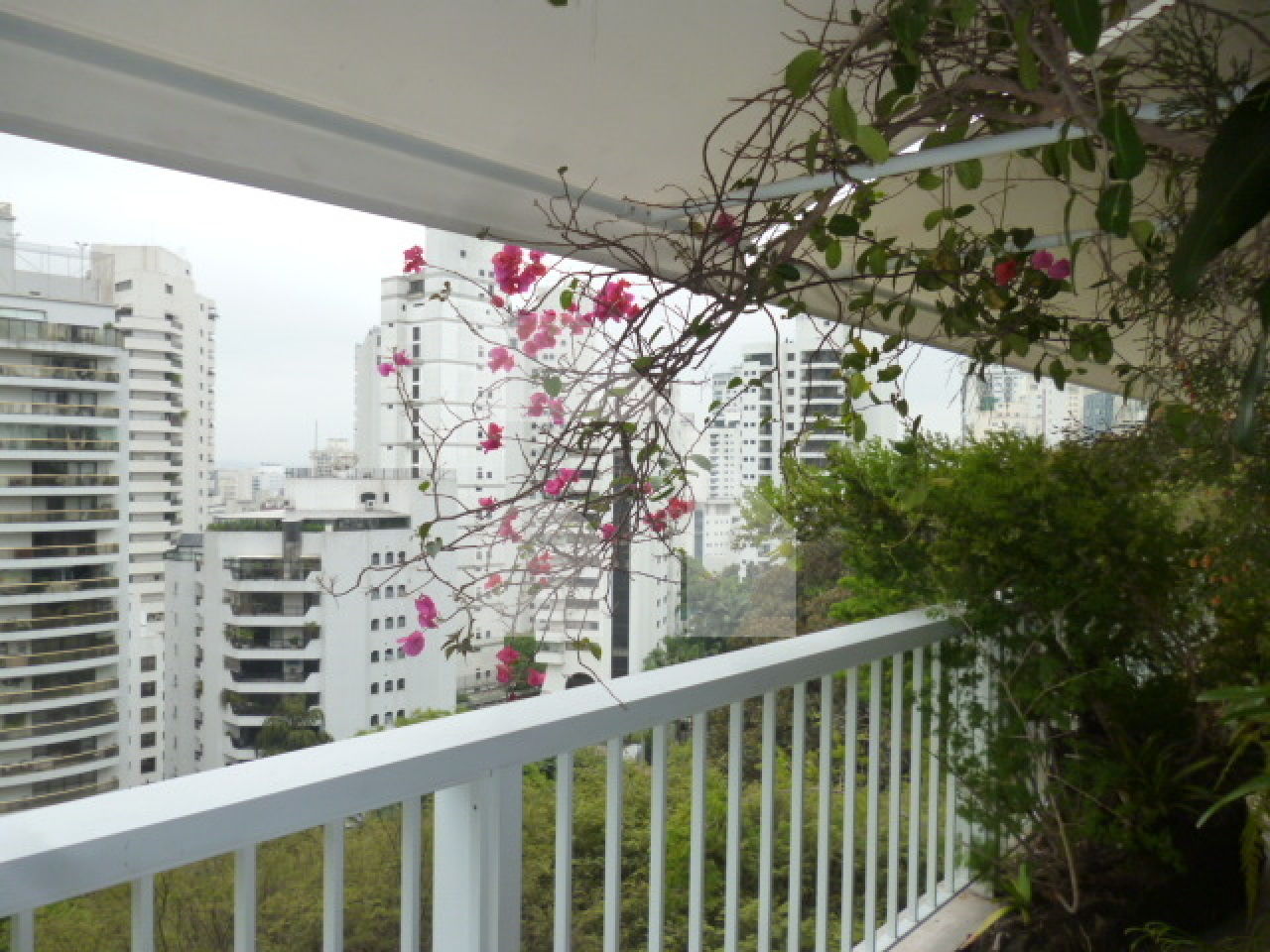 Apartamento para Venda - Higienópolis