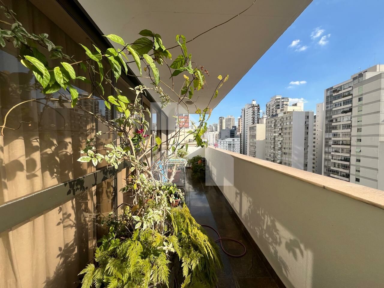 Apartamento para Venda - Santa Cecília