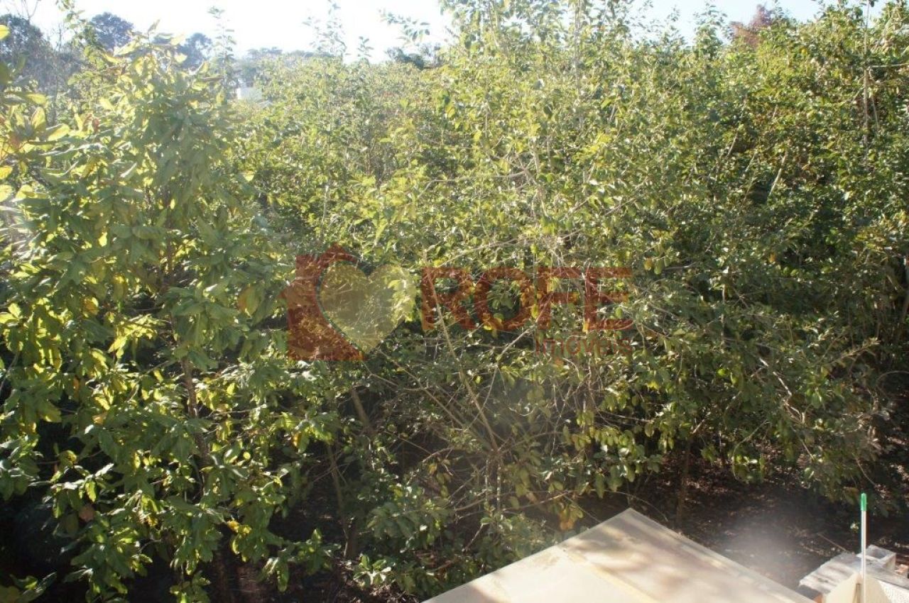Foto 34 - RF16303