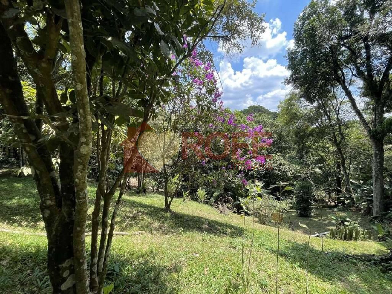 Foto 2 - RF30678