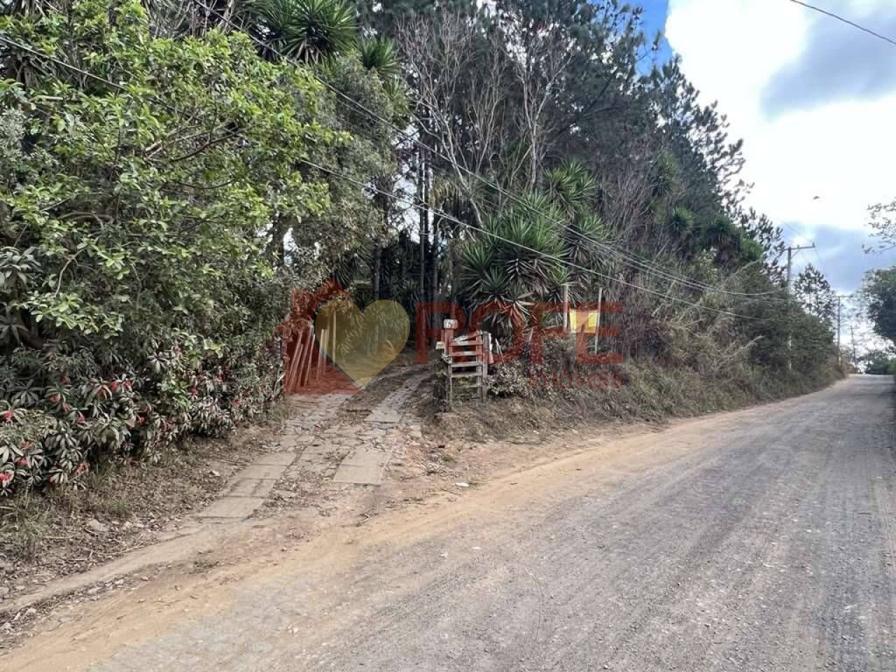 Foto 5 - RF33735