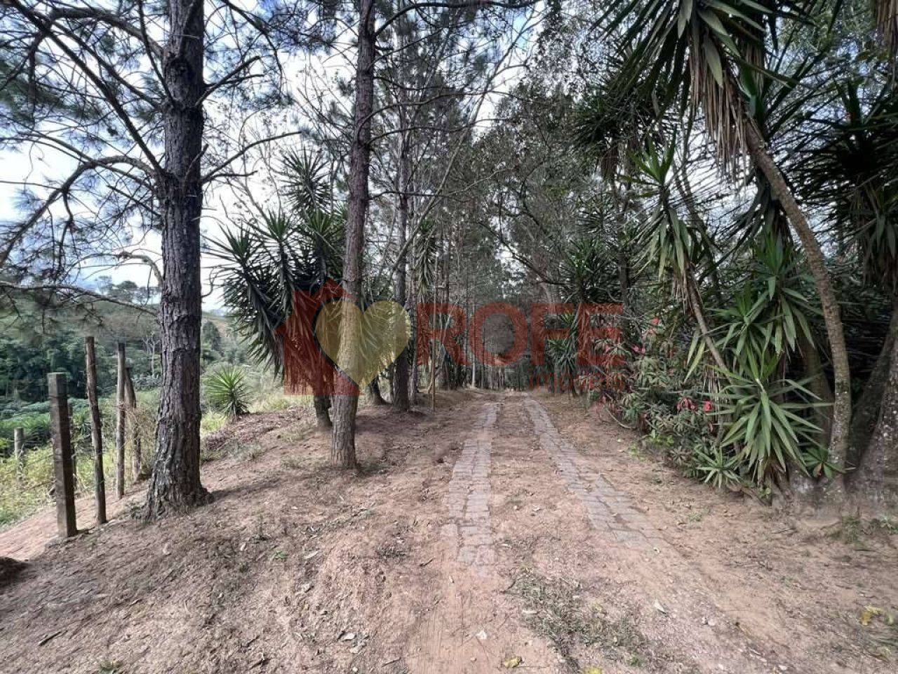 Foto 6 - RF33735